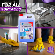 All Purpose Cleaner - 5 Litre, Lavender