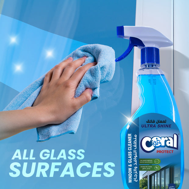 Glass Cleaner Spray - 750ml