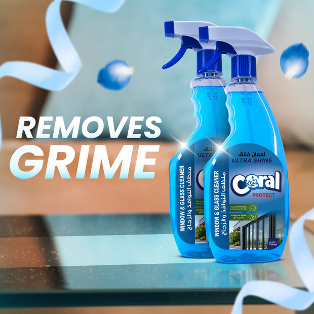 Glass Cleaner Spray - 750ml