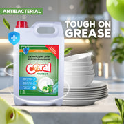Premium Diswash Liquid - 5 Litre, Apple